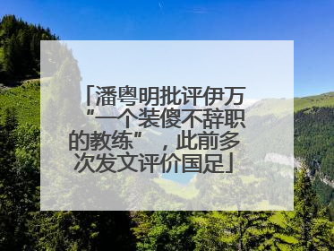 潘粤明批评伊万“一个装傻不辞职的教练”，此前多次发文评价国足