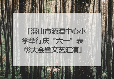 潜山市源潭中心小学举行庆“六一”表彰大会暨文艺汇演