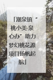 潮泉镇“桃小美·泉心办”助力梦幻桃花源项目扬帆起航