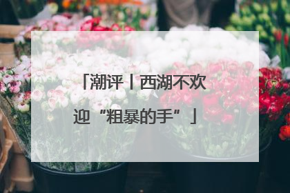 潮评丨西湖不欢迎“粗暴的手”