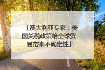 澳大利亚专家：美国关税政策给全球贸易带来不确定性
