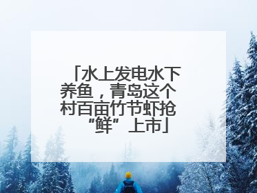 水上发电水下养鱼，青岛这个村百亩竹节虾抢“鲜”上市