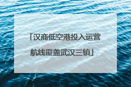 汉商低空港投入运营 航线覆盖武汉三镇