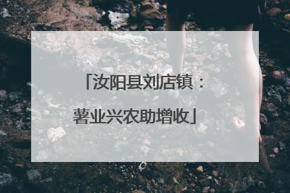 汝阳县刘店镇：薯业兴农助增收