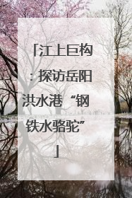 江上巨构：探访岳阳洪水港“钢铁水骆驼”