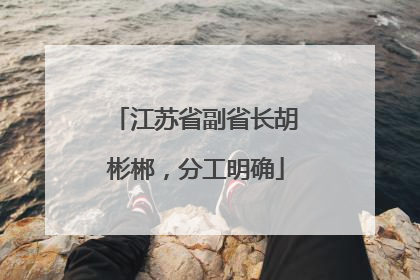 江苏省副省长胡彬郴，分工明确