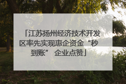 江苏扬州经济技术开发区率先实现惠企资金“秒到账” 企业点赞