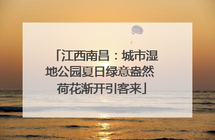 江西南昌：城市湿地公园夏日绿意盎然 荷花渐开引客来