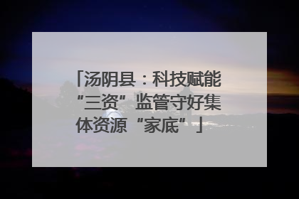 汤阴县：科技赋能“三资”监管守好集体资源“家底”