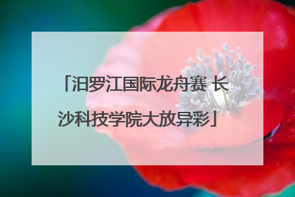 汨罗江国际龙舟赛 长沙科技学院大放异彩