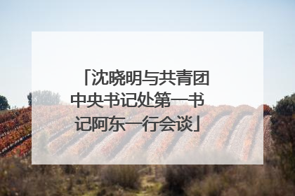 沈晓明与共青团中央书记处第一书记阿东一行会谈
