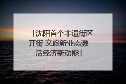 沈阳首个非遗街区开街 文旅新业态激活经济新动能