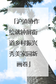 沪滇协作绘就钟屏街道乡村振兴秀美家园新画卷