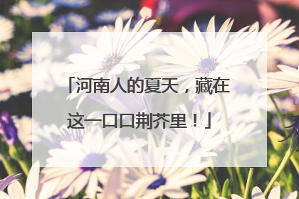 河南人的夏天，藏在这一口口荆芥里！