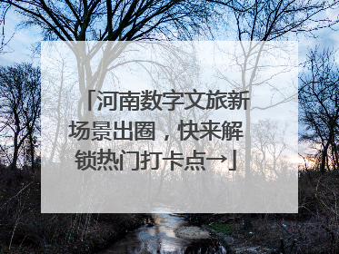 河南数字文旅新场景出圈，快来解锁热门打卡点→