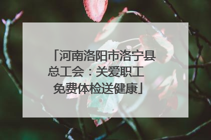 河南洛阳市洛宁县总工会：关爱职工 免费体检送健康