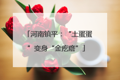 河南镇平：“土蛋蛋”变身“金疙瘩”