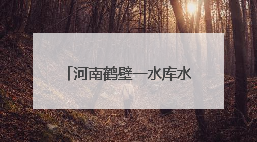 河南鹤壁一水库水位下降现千佛石窟，开凿于东魏内有1043尊石佛，有佛像首部消失，水库管理方回应
