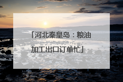 河北秦皇岛：粮油加工出口订单忙