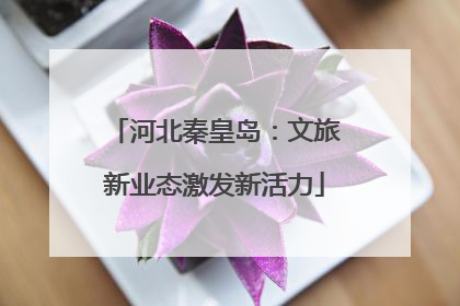 河北秦皇岛：文旅新业态激发新活力