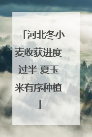 河北冬小麦收获进度过半 夏玉米有序种植