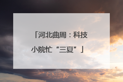 河北曲周：科技小院忙“三夏”