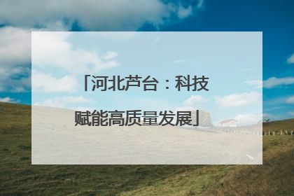 河北芦台：科技赋能高质量发展