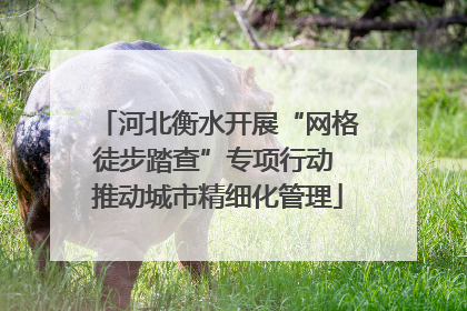 河北衡水开展“网格徒步踏查”专项行动 推动城市精细化管理