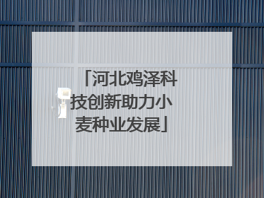 河北鸡泽科技创新助力小麦种业发展