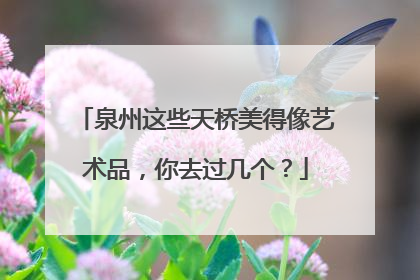 泉州这些天桥美得像艺术品，你去过几个？