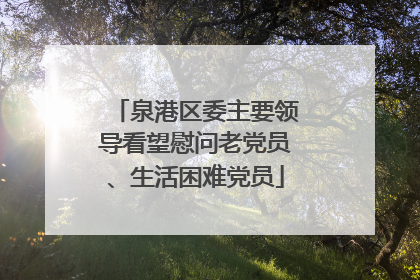 泉港区委主要领导看望慰问老党员、生活困难党员