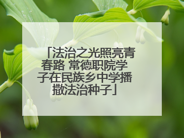 法治之光照亮青春路 常德职院学子在民族乡中学播撒法治种子