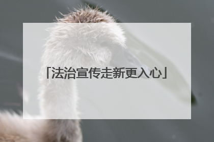 法治宣传走新更入心