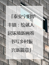 泰安宁阳华丰镇：绘就人居环境新画卷 书写乡村振兴新篇章