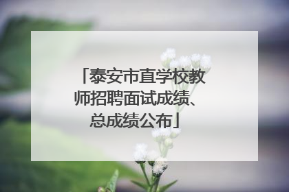 泰安市直学校教师招聘面试成绩、总成绩公布