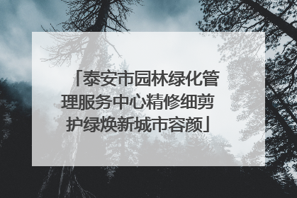 泰安市园林绿化管理服务中心精修细剪护绿焕新城市容颜