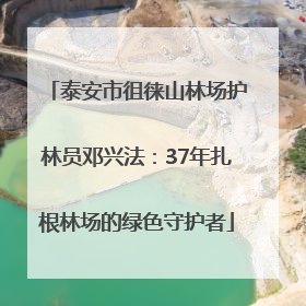 泰安市徂徕山林场护林员邓兴法：37年扎根林场的绿色守护者