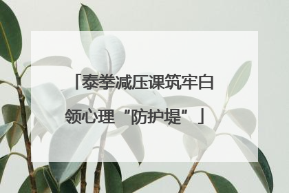 泰拳减压课筑牢白领心理“防护堤”