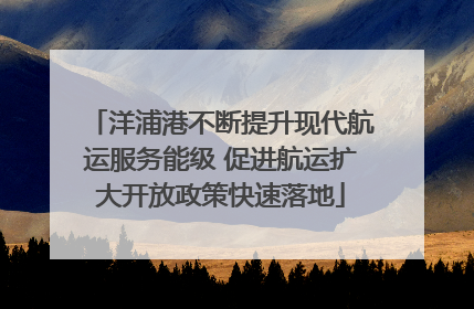 洋浦港不断提升现代航运服务能级 促进航运扩大开放政策快速落地