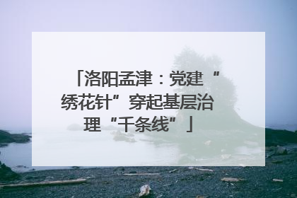 洛阳孟津：党建“绣花针”穿起基层治理“千条线”