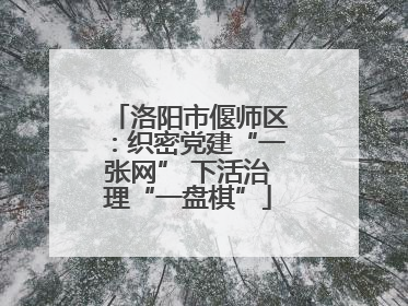 洛阳市偃师区：织密党建“一张网” 下活治理“一盘棋”