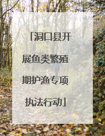 洞口县开展鱼类繁殖期护渔专项执法行动