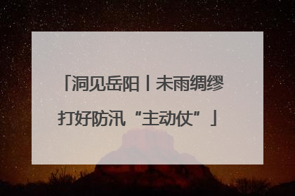 洞见岳阳丨未雨绸缪 打好防汛“主动仗”