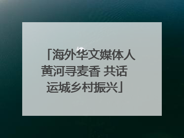 海外华文媒体人黄河寻麦香 共话运城乡村振兴