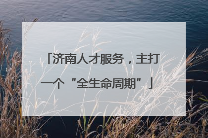 济南人才服务，主打一个“全生命周期”