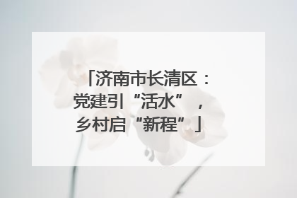 济南市长清区：党建引“活水”，乡村启“新程”