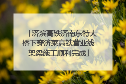 济滨高铁济南东特大桥下穿济莱高铁营业线架梁施工顺利完成