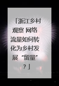 浙江乡村观察 网络流量如何转化为乡村发展“留量”？
