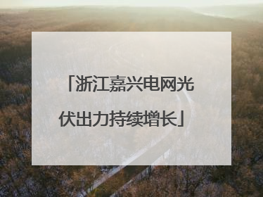 浙江嘉兴电网光伏出力持续增长