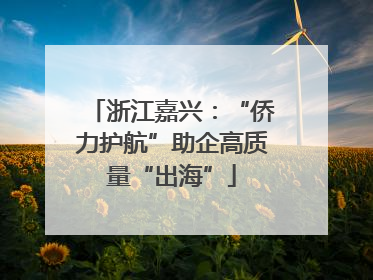 浙江嘉兴：“侨力护航”助企高质量“出海”